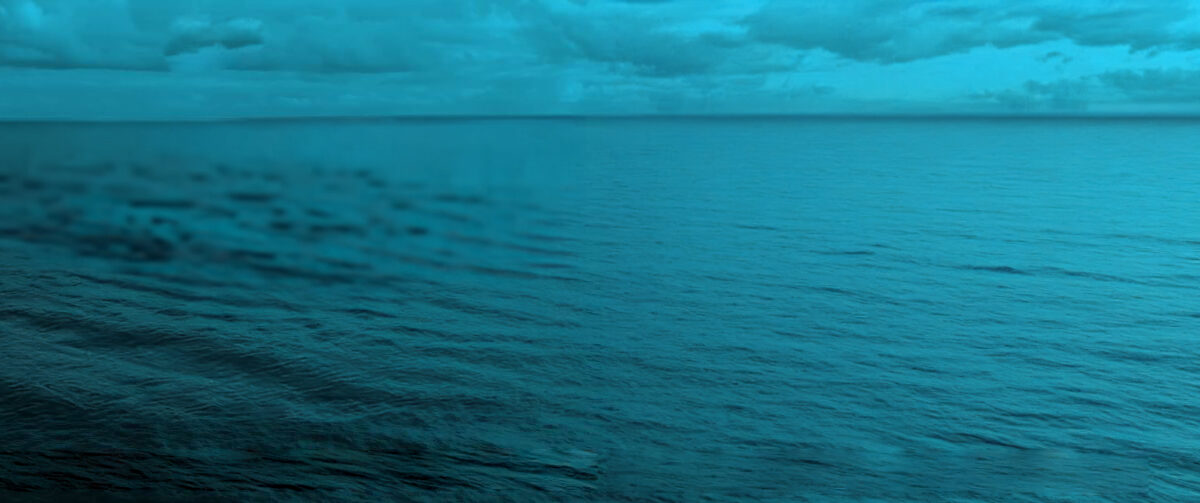 H2O + COVE Demo Day 2024