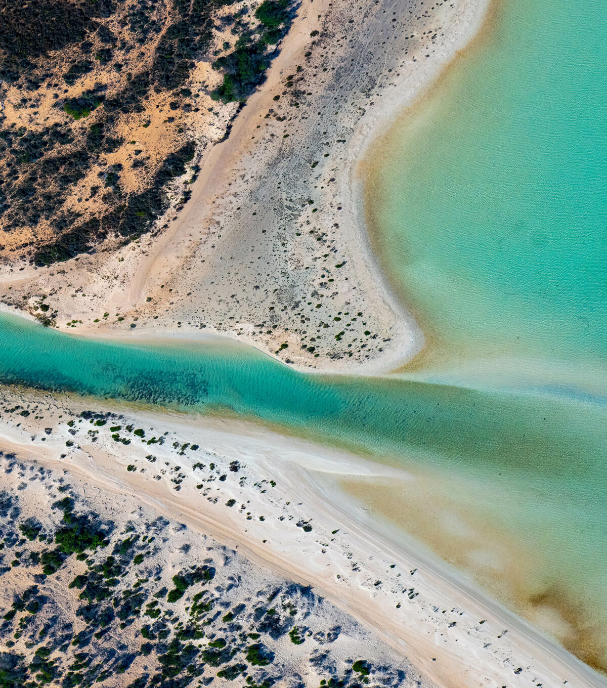 Aquatec Expands into the DACH Region with Ocean Metrics